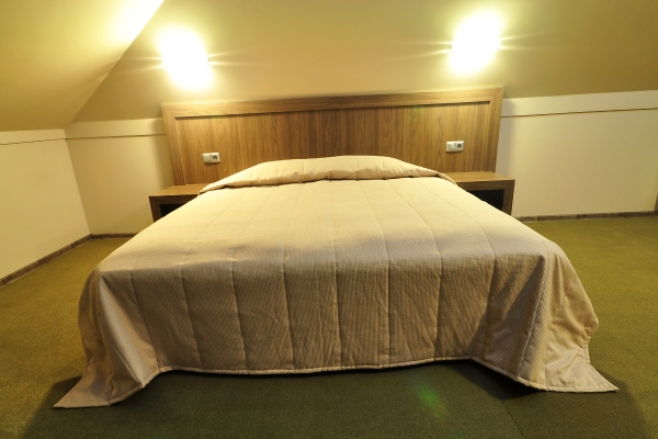 Hotel Grejaus Namas (Kėdainiai)